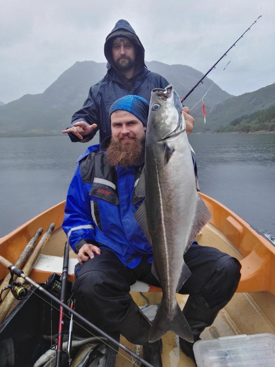 Gullesfjord Camping Exteriér fotografie